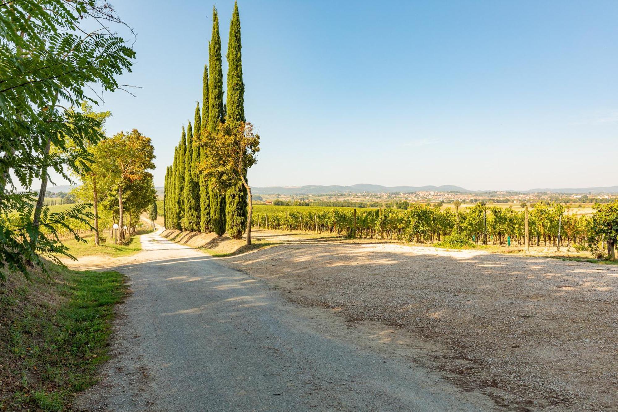 Vermentino Villa Montepulciano Stazione Buitenkant foto