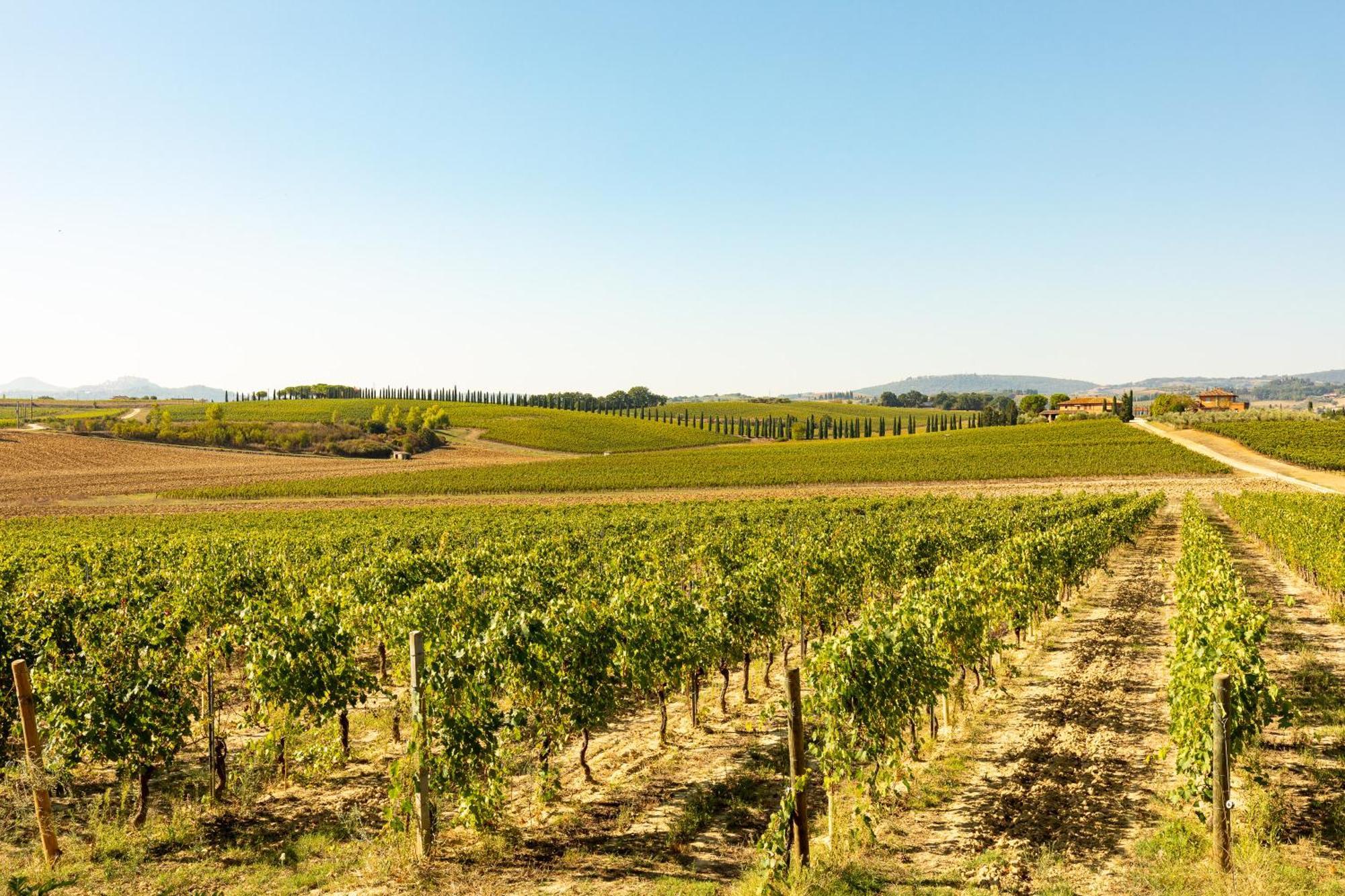 Vermentino Villa Montepulciano Stazione Buitenkant foto