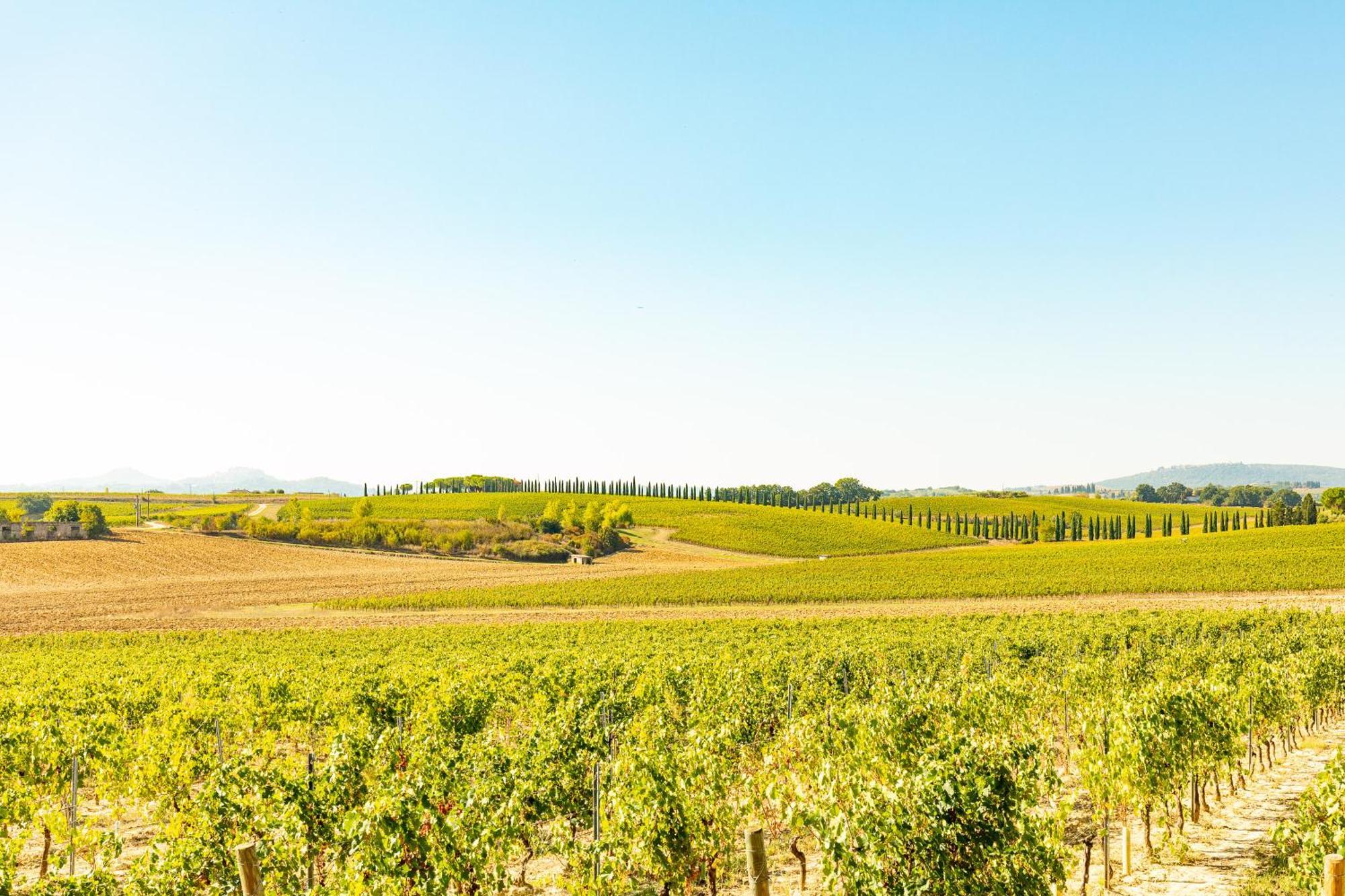 Vermentino Villa Montepulciano Stazione Buitenkant foto