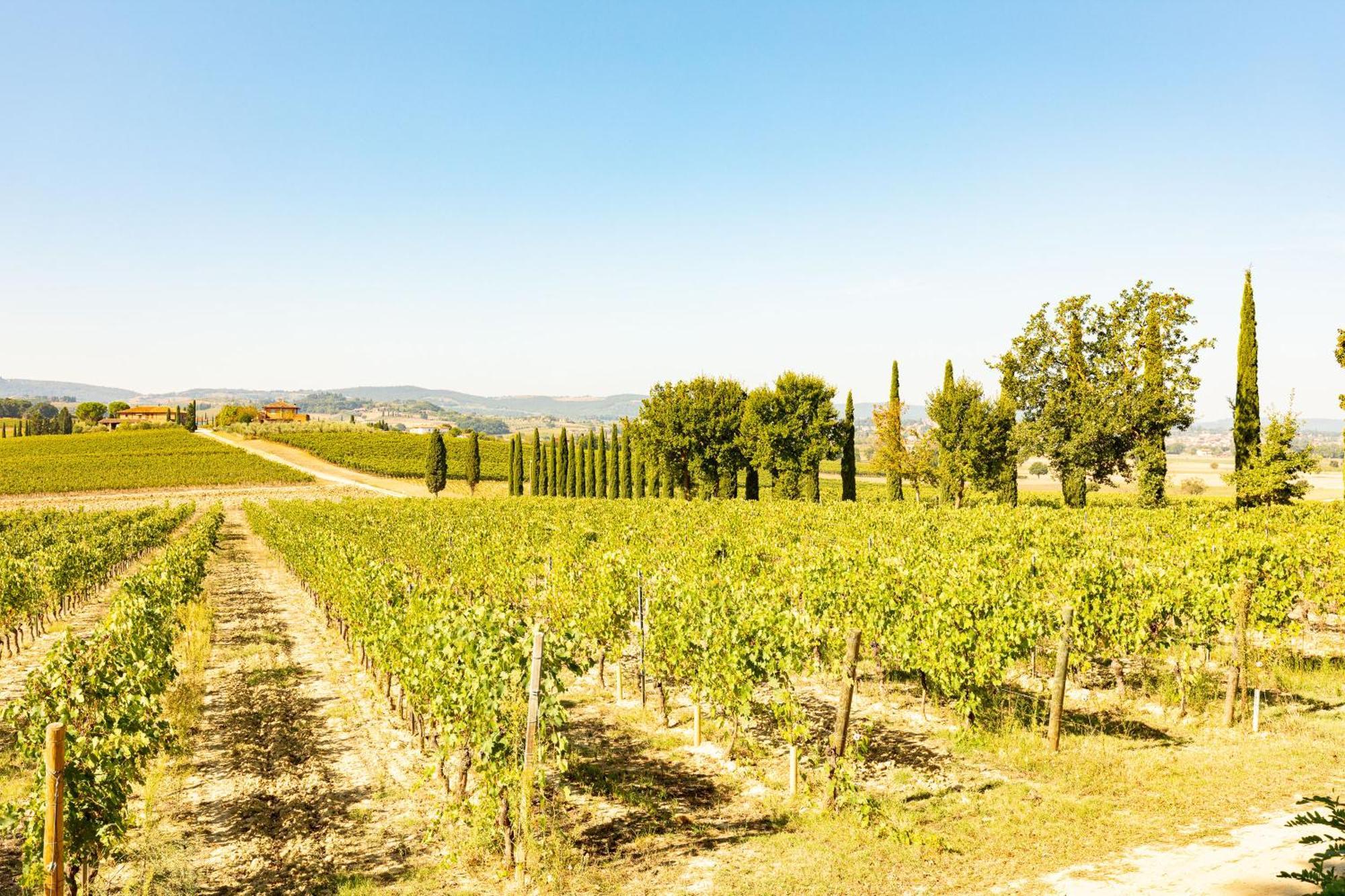 Vermentino Villa Montepulciano Stazione Buitenkant foto